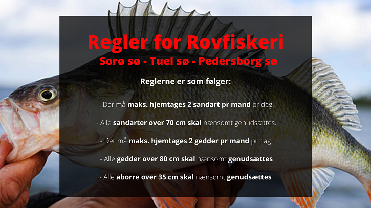 Regler for Rovfiskeri
